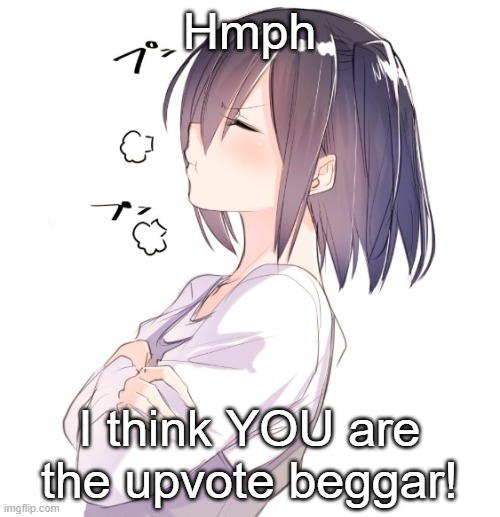Hmph I think YOU are the upvote beggar! | image tagged in hmphy | made w/ Imgflip meme maker