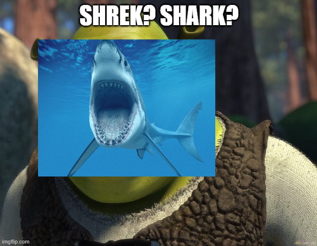 Shrek?Shark? | SHREK? SHARK? | image tagged in shrek,shark | made w/ Imgflip meme maker