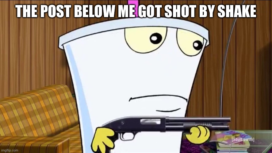Master Shake holding a shotgun | THE POST BELOW ME GOT SHOT BY SHAKE | image tagged in master shake holding a shotgun | made w/ Imgflip meme maker