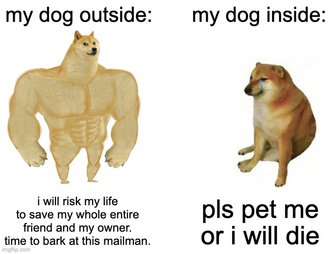 Buff Doge vs. Cheems Meme | my dog outside:; my dog inside:; i will risk my life to save my whole entire friend and my owner. time to bark at this mailman. pls pet me or i will die | image tagged in memes,buff doge vs cheems | made w/ Imgflip meme maker