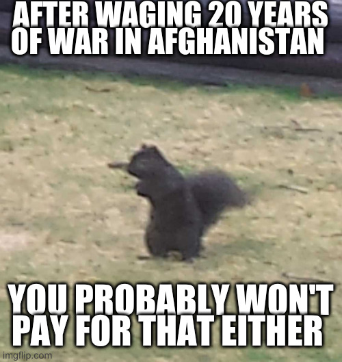 Squirrel! | AFTER WAGING 20 YEARS OF WAR IN AFGHANISTAN YOU PROBABLY WON'T PAY FOR THAT EITHER | image tagged in squirrel | made w/ Imgflip meme maker