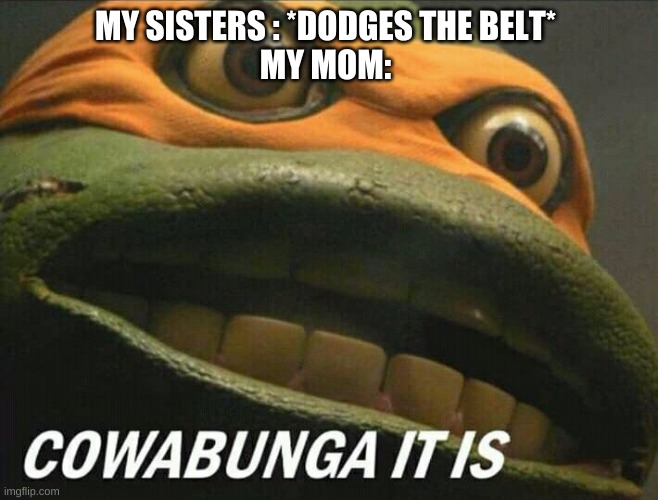 FACT |  MY SISTERS : *DODGES THE BELT*
MY MOM: | image tagged in cowabunga it is | made w/ Imgflip meme maker