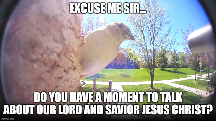 Excuse me bird | EXCUSE ME SIR... DO YOU HAVE A MOMENT TO TALK ABOUT OUR LORD AND SAVIOR JESUS CHRIST? | image tagged in bird | made w/ Imgflip meme maker