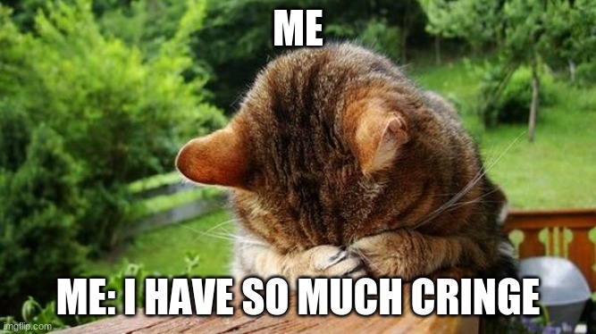 Embarrassed Cat | ME ME: I HAVE SO MUCH CRINGE | image tagged in embarrassed cat | made w/ Imgflip meme maker
