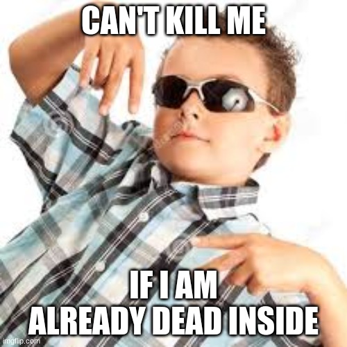 Cool kid sunglasses | CAN'T KILL ME; IF I AM ALREADY DEAD INSIDE | image tagged in cool kid sunglasses | made w/ Imgflip meme maker