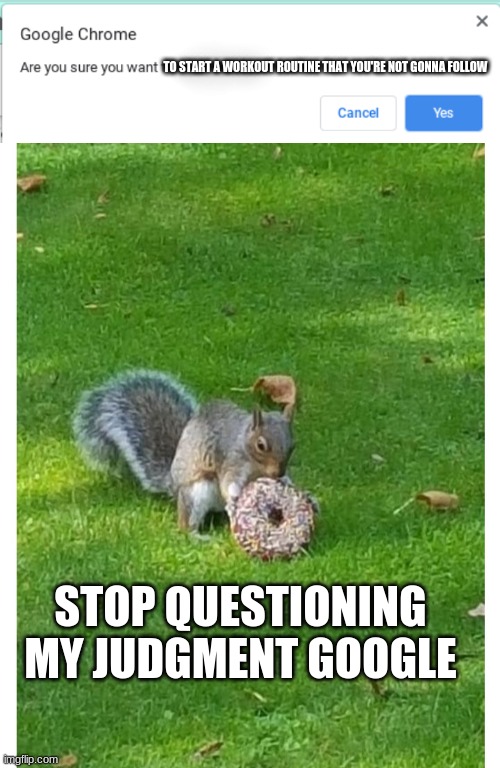 Google are you sure | TO START A WORKOUT ROUTINE THAT YOU'RE NOT GONNA FOLLOW; STOP QUESTIONING MY JUDGMENT GOOGLE | image tagged in google are you sure,squirrel eating donut,workout,google,chrome,judgment | made w/ Imgflip meme maker