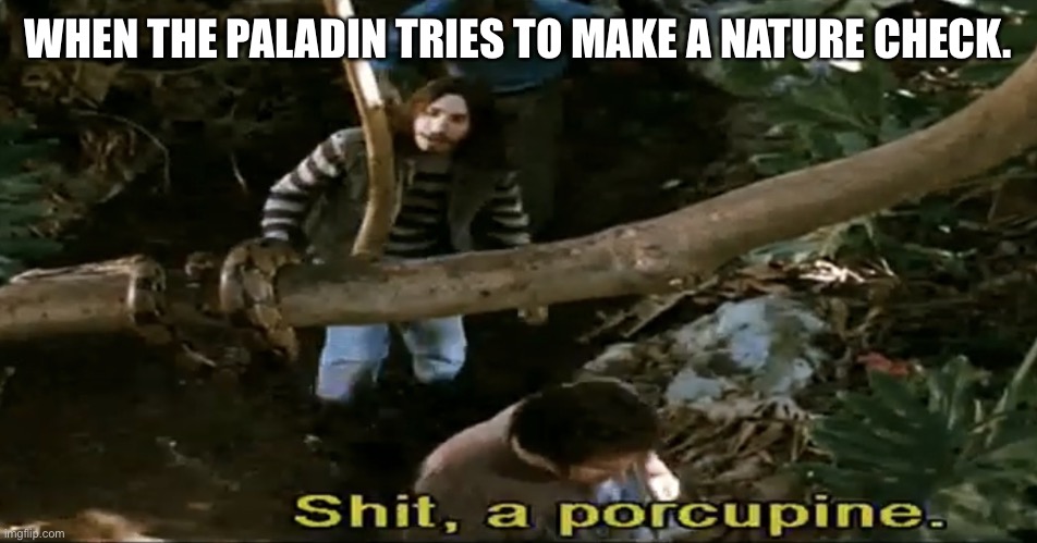 Shit. A porcupine | WHEN THE PALADIN TRIES TO MAKE A NATURE CHECK. | image tagged in shit a porcupine,dndmemes | made w/ Imgflip meme maker