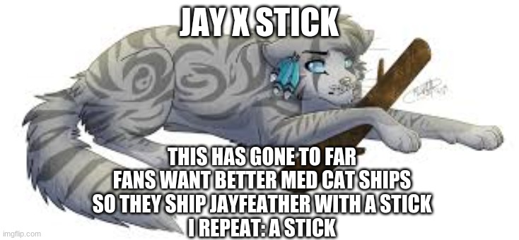 to far | JAY X STICK; THIS HAS GONE TO FAR
FANS WANT BETTER MED CAT SHIPS
SO THEY SHIP JAYFEATHER WITH A STICK
I REPEAT: A STICK | image tagged in jay x stick,warrior cats | made w/ Imgflip meme maker