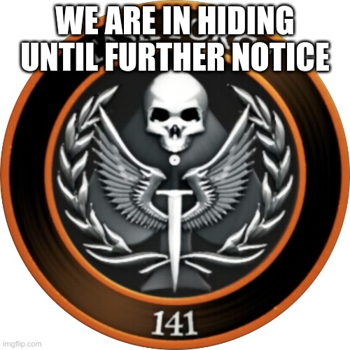 Task Force 141 | WE ARE IN HIDING UNTIL FURTHER NOTICE | image tagged in task force 141 | made w/ Imgflip meme maker
