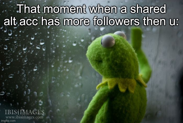 It’s sad tbh | That moment when a shared alt acc has more followers then u: | image tagged in kermit window | made w/ Imgflip meme maker