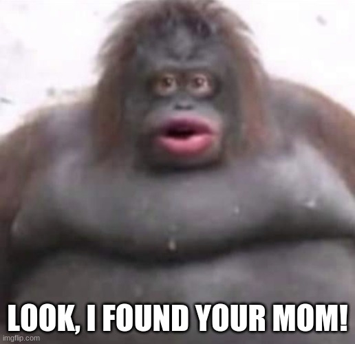 Le Monke | LOOK, I FOUND YOUR MOM! | image tagged in le monke | made w/ Imgflip meme maker