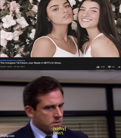 image tagged in micheal scott softly don't | made w/ Imgflip meme maker