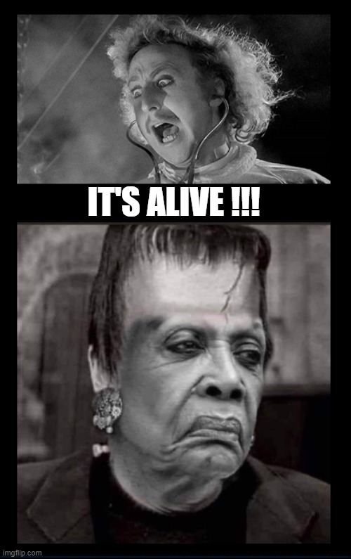 Maxinstein |  IT'S ALIVE !!! | image tagged in maxine waters,frankenstein,its alive,george floyd,justice | made w/ Imgflip meme maker