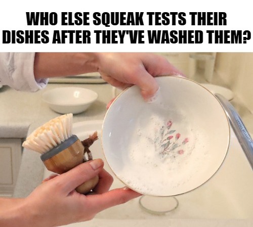 High Quality Squeak Test Clean Dishes Blank Meme Template