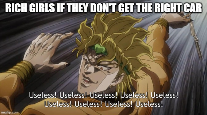 USELESS | RICH GIRLS IF THEY DON'T GET THE RIGHT CAR | image tagged in useless | made w/ Imgflip meme maker