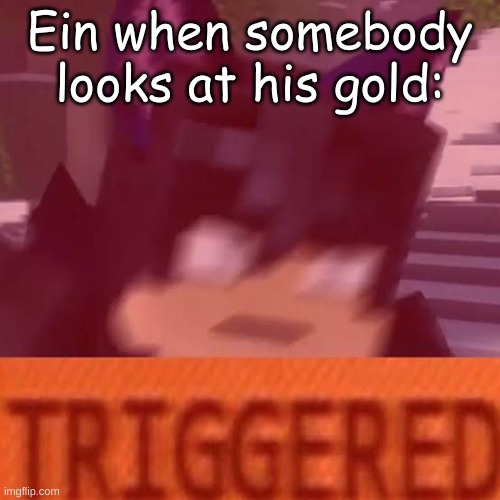 Aphmau | Ein when somebody looks at his gold: | image tagged in ein triggered,aphmau | made w/ Imgflip meme maker