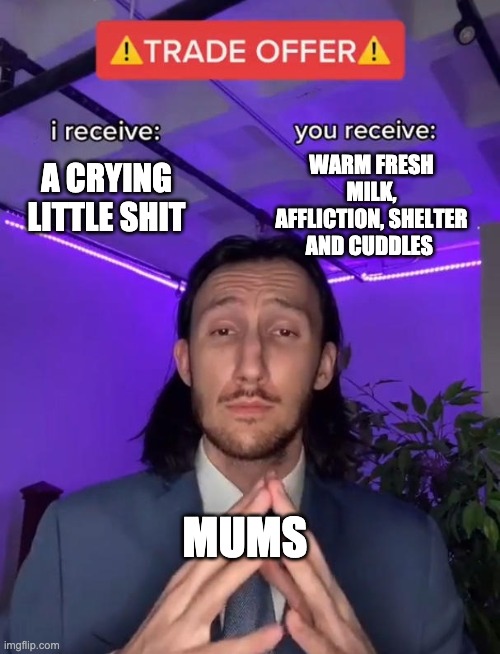 Trade Offer | WARM FRESH MILK, AFFLICTION, SHELTER AND CUDDLES; A CRYING LITTLE SHIT; MUMS | image tagged in trade offer | made w/ Imgflip meme maker