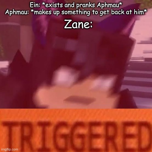 Ein, you know the rules it's time to die | Ein: *exists and pranks Aphmau*
Aphmau: *makes up something to get back at him*; Zane: | image tagged in ein triggered,aphmau,zane | made w/ Imgflip meme maker