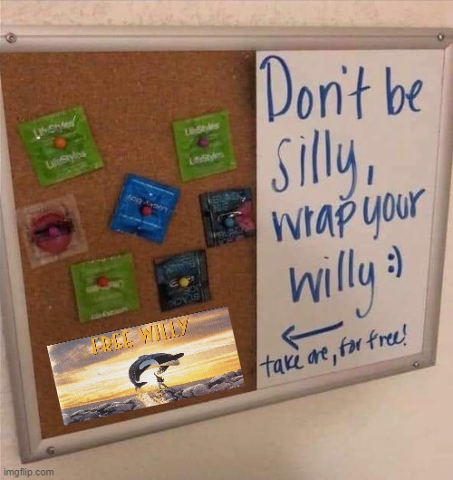 Free Willy | image tagged in free willy memes,stupid memes | made w/ Imgflip meme maker