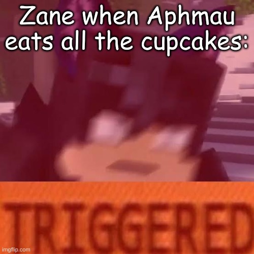 Ein triggered | Zane when Aphmau eats all the cupcakes: | image tagged in ein triggered | made w/ Imgflip meme maker