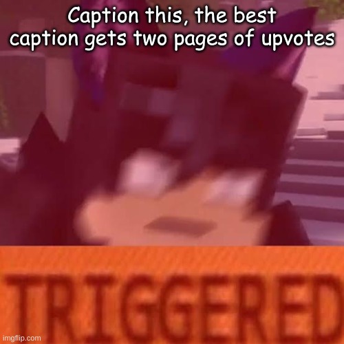 Ein triggered | Caption this, the best caption gets two pages of upvotes | image tagged in ein triggered | made w/ Imgflip meme maker