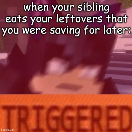 Ein triggered | when your sibling eats your leftovers that you were saving for later: | image tagged in ein triggered | made w/ Imgflip meme maker