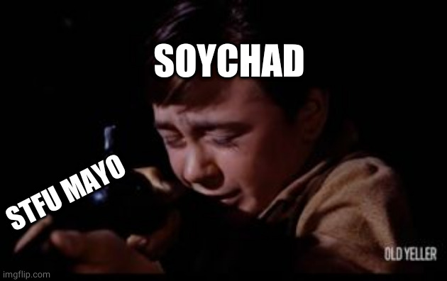 me whenever I am talking to someone on imgflip and they turn out to be a reactionary |  SOYCHAD; STFU MAYO | image tagged in old yeller,politics,politicstoo,political meme | made w/ Imgflip meme maker