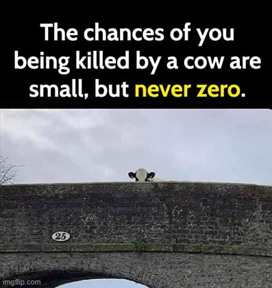 okay now i have a cow phobia | made w/ Imgflip meme maker