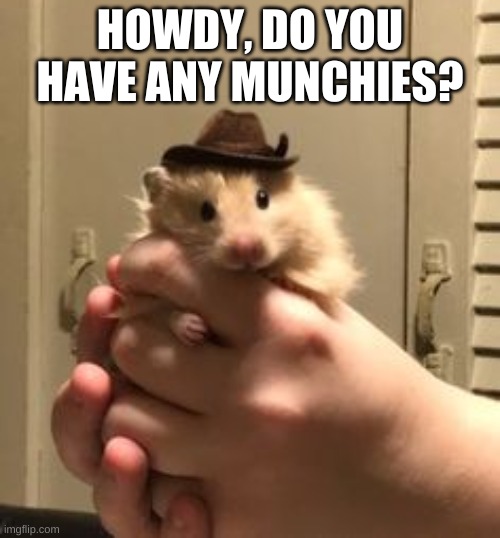 cowboy hammie | HOWDY, DO YOU HAVE ANY MUNCHIES? | image tagged in hamster | made w/ Imgflip meme maker