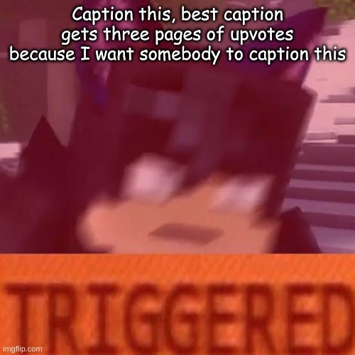 *eats these delicious captions for energy* | Caption this, best caption gets three pages of upvotes because I want somebody to caption this | image tagged in ein triggered | made w/ Imgflip meme maker