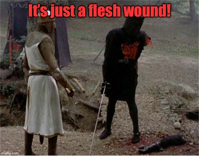 FLesh wound | It’s just a flesh wound! | image tagged in flesh wound | made w/ Imgflip meme maker
