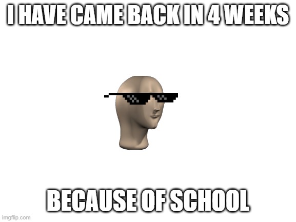 Blank White Template | I HAVE CAME BACK IN 4 WEEKS; BECAUSE OF SCHOOL | image tagged in blank white template | made w/ Imgflip meme maker