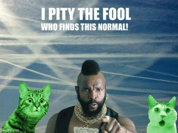Mr T Raycats & Chemtrails | image tagged in funny cats | made w/ Imgflip meme maker