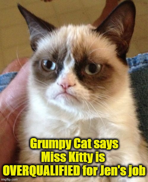 Grumpy Cat says Miss Kitty is 
OVERQUALIFIED for Jen's job | made w/ Imgflip meme maker