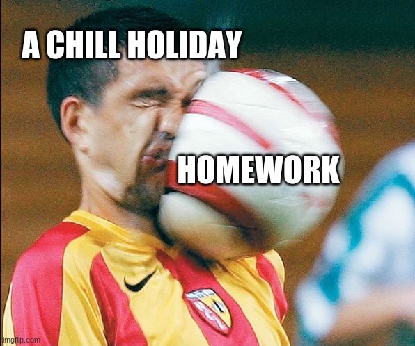 getting hit in the face by a soccer ball | A CHILL HOLIDAY; HOMEWORK | image tagged in getting hit in the face by a soccer ball | made w/ Imgflip meme maker