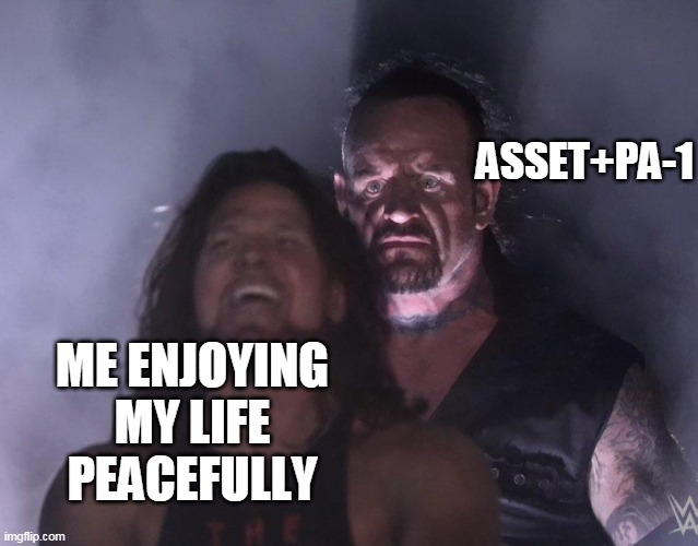 undertaker | ASSET+PA-1; ME ENJOYING MY LIFE PEACEFULLY | image tagged in undertaker | made w/ Imgflip meme maker