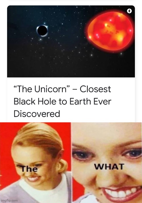 image tagged in the what | made w/ Imgflip meme maker