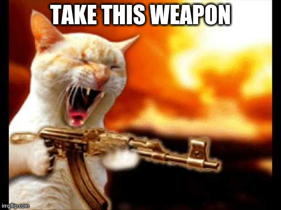 cat with gun | TAKE THIS WEAPON | image tagged in cat with gun | made w/ Imgflip meme maker