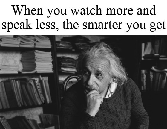 High Quality Albert Einstein The Smarter You Get The Less You Speak Blank Meme Template