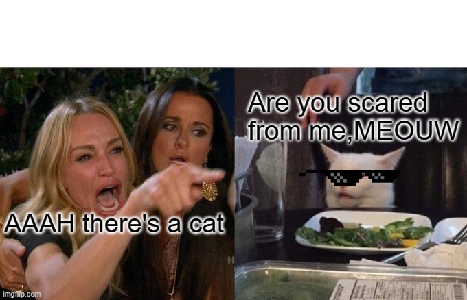 MR CAT MEME | Are you scared from me,MEOUW; AAAH there's a cat | image tagged in memes,woman yelling at cat | made w/ Imgflip meme maker