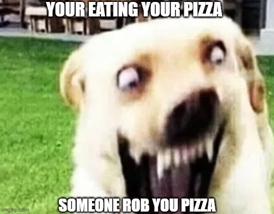 pizza story | YOUR EATING YOUR PIZZA; SOMEONE ROB YOU PIZZA | image tagged in dog screamer lol boi | made w/ Imgflip meme maker