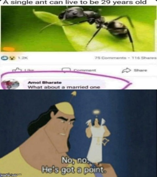 He's got a point | image tagged in no no hes got a point,funny,memes,ants,married,single | made w/ Imgflip meme maker