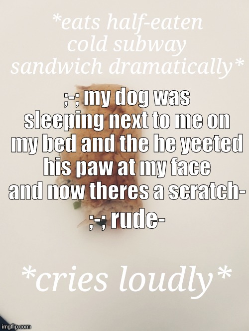 - | ;-; my dog was sleeping next to me on my bed and the he yeeted his paw at my face and now theres a scratch-; ;-; rude- | image tagged in subway sandwich | made w/ Imgflip meme maker
