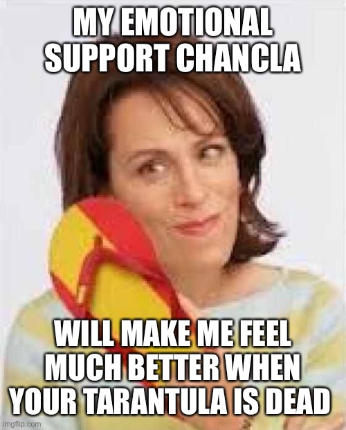 Chancla | MY EMOTIONAL SUPPORT CHANCLA WILL MAKE ME FEEL MUCH BETTER WHEN YOUR TARANTULA IS DEAD | image tagged in chancla | made w/ Imgflip meme maker