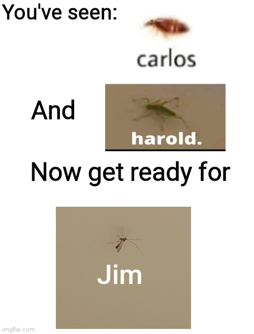 Jim | You've seen:; And; Now get ready for | image tagged in blank white template,harold,carlos,memes | made w/ Imgflip meme maker