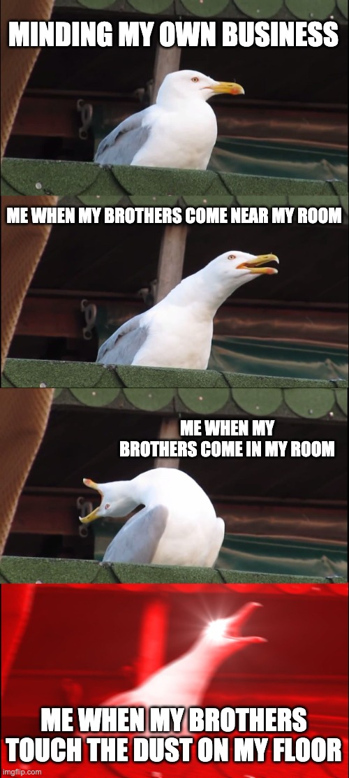 Inhaling Seagull | MINDING MY OWN BUSINESS; ME WHEN MY BROTHERS COME NEAR MY ROOM; ME WHEN MY BROTHERS COME IN MY ROOM; ME WHEN MY BROTHERS TOUCH THE DUST ON MY FLOOR | image tagged in memes,inhaling seagull,brother meme | made w/ Imgflip meme maker