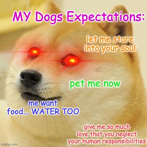 Doge Meme | MY Dogs Expectations:; let me stare into your soul; pet me now; me want food... WATER TOO; give me so much love that you neglect your human responsibilities | image tagged in memes,doge | made w/ Imgflip meme maker