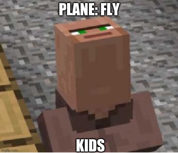 Planes and kids | PLANE: FLY; KIDS | image tagged in minecraft villager looking up | made w/ Imgflip meme maker