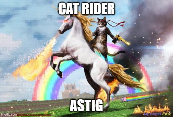 Cat riding unicorn |  CAT RIDER; ASTIG | image tagged in cat riding unicorn | made w/ Imgflip meme maker