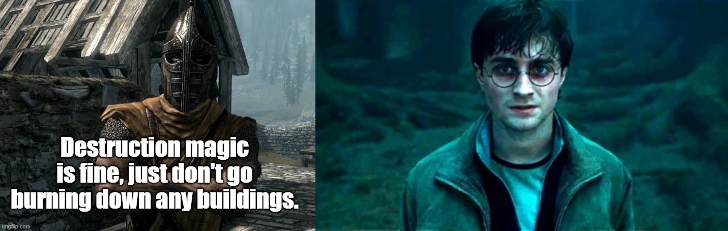 Skyrim Guard Meets Harry Potter | Destruction magic is fine, just don't go burning down any buildings. | image tagged in memes,skyrim,harry potter | made w/ Imgflip meme maker